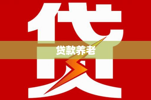 沙坡头贷款养老