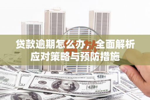 沙坡头贷款逾期怎么办，全面解析应对策略与预防措施