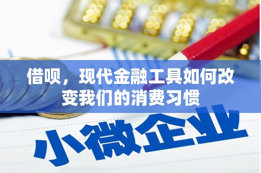 沙坡头借呗，现代金融工具如何改变我们的消费习惯