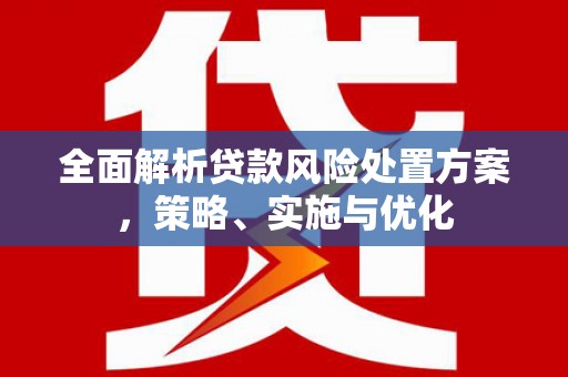 沙坡头全面解析贷款风险处置方案，策略、实施与优化