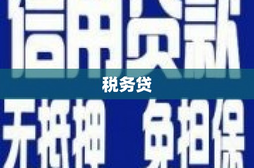 沙坡头税务贷