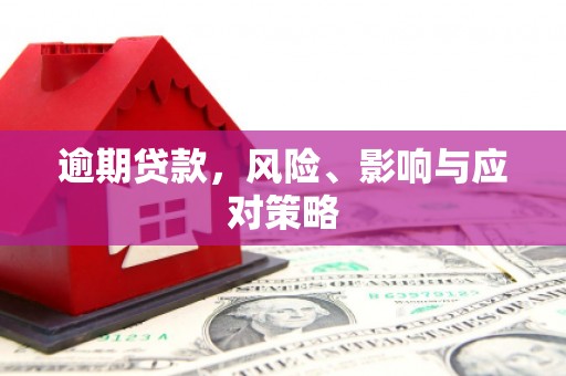 沙坡头逾期贷款，风险、影响与应对策略