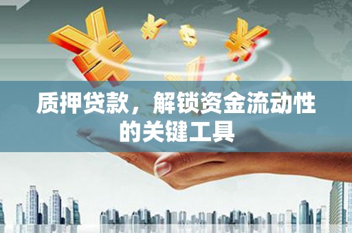 沙坡头质押贷款，解锁资金流动性的关键工具