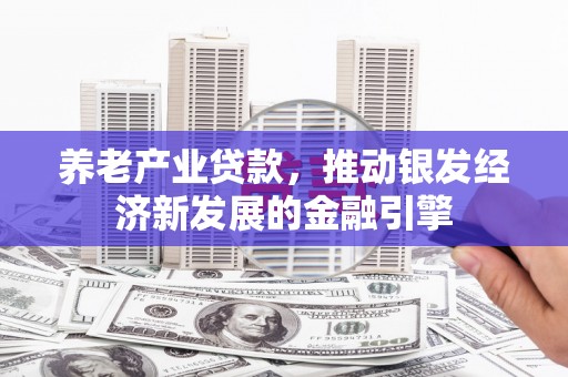 沙坡头养老产业贷款，推动银发经济新发展的金融引擎