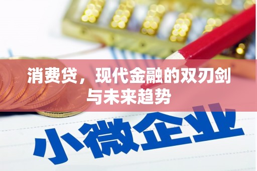 沙坡头消费贷，现代金融的双刃剑与未来趋势