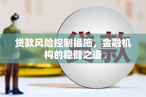 沙坡头贷款风险控制措施，金融机构的稳健之道