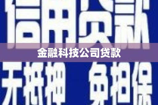 沙坡头金融科技公司贷款