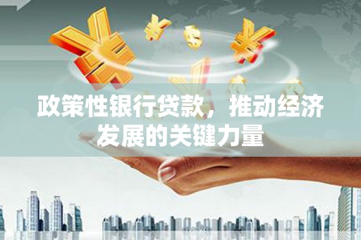沙坡头政策性银行贷款，推动经济发展的关键力量