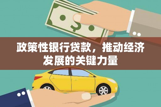 沙坡头政策性银行贷款，推动经济发展的关键力量