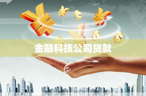 沙坡头金融科技公司贷款