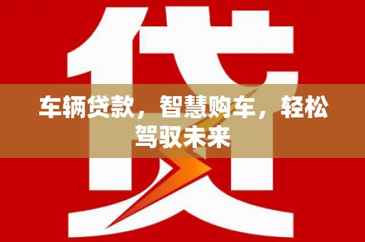 沙坡头车辆贷款，智慧购车，轻松驾驭未来