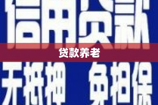 沙坡头贷款养老