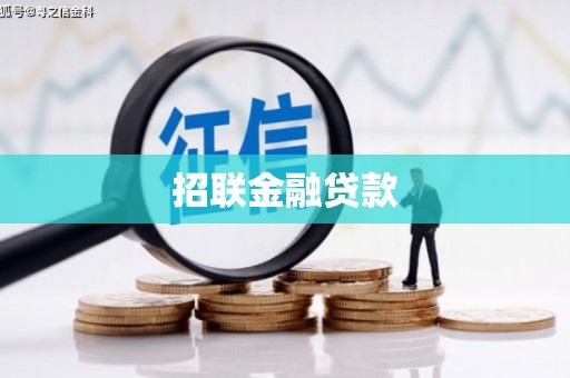 沙坡头招联金融贷款