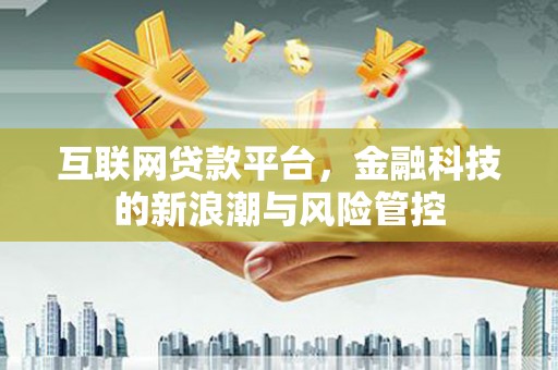 沙坡头互联网贷款平台，金融科技的新浪潮与风险管控