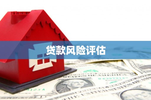 沙坡头贷款风险评估