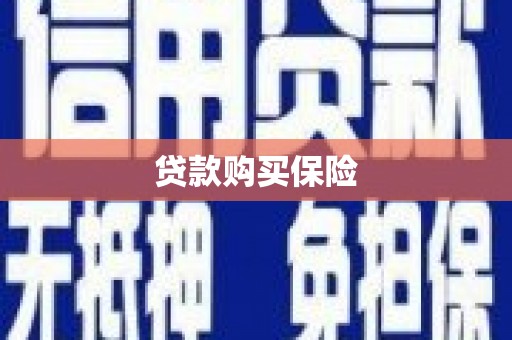 沙坡头贷款购买保险