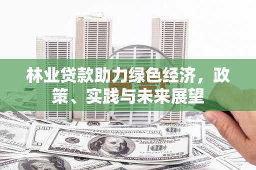 沙坡头林业贷款助力绿色经济，政策、实践与未来展望
