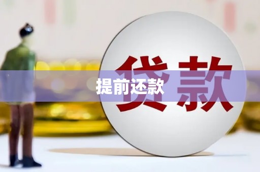 沙坡头提前还款