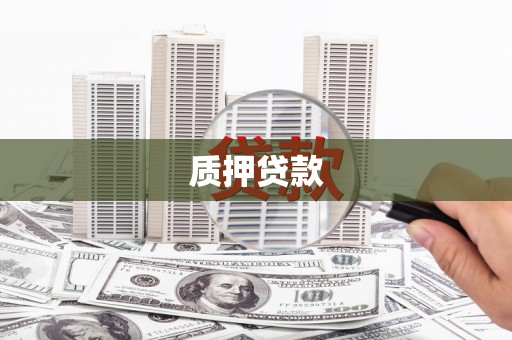 沙坡头质押贷款