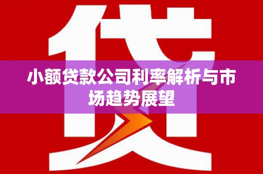 沙坡头小额贷款公司利率解析与市场趋势展望