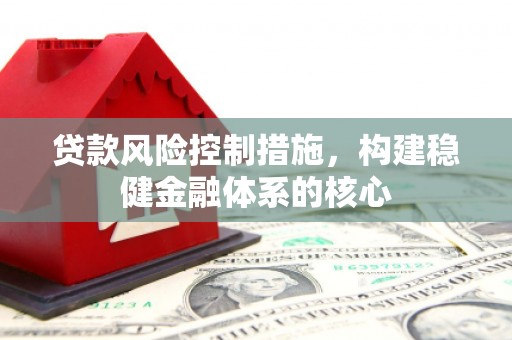 沙坡头贷款风险控制措施，构建稳健金融体系的核心