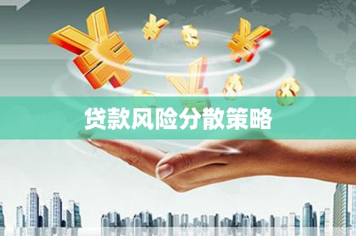 沙坡头贷款风险分散策略