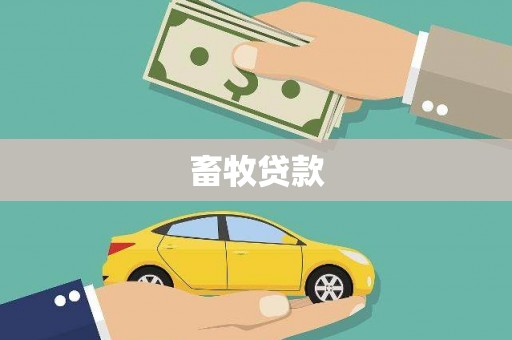 沙坡头畜牧贷款
