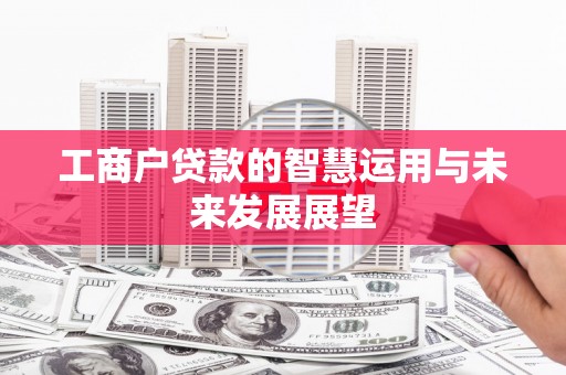 沙坡头工商户贷款的智慧运用与未来发展展望