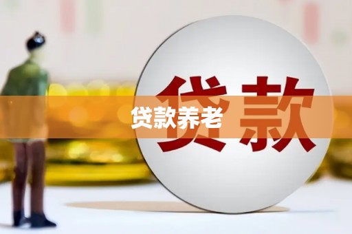 沙坡头贷款养老