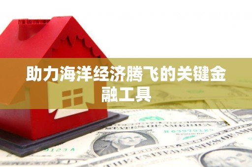 沙坡头助力海洋经济腾飞的关键金融工具