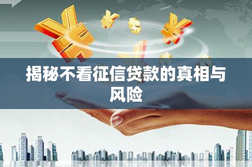 沙坡头揭秘不看征信贷款的真相与风险