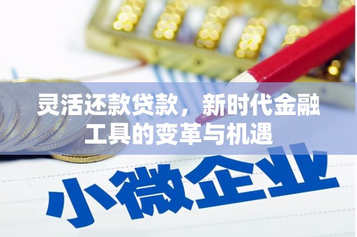 沙坡头灵活还款贷款，新时代金融工具的变革与机遇