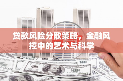 沙坡头贷款风险分散策略，金融风控中的艺术与科学