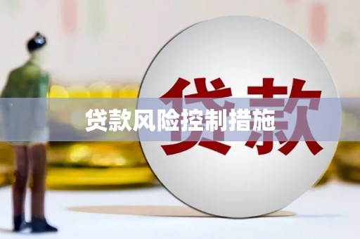 沙坡头贷款风险控制措施