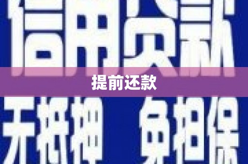 沙坡头提前还款
